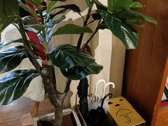 -雕刻时光咖啡馆(师大路店)