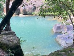 -广州白江湖森林公园