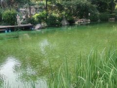 -静安公园(静安寺街道)