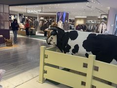 -红星前进面包牛奶公司(君太店)