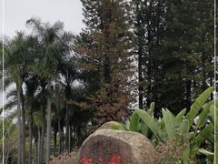 -荔枝公园(福田区)