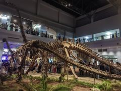 -自贡恐龙博物馆