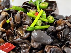 -君临七星生态酒店