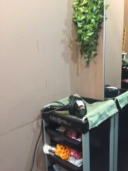 -史云逊养发中心