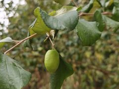 -中国移动南方基地