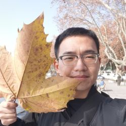 -碧莲盛·不剃发植发