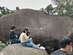 -火炉山森林公园