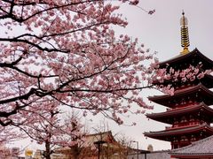 -浅草寺