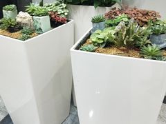 -福州长乐国际机场
