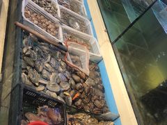 -日进一片海.生腌海鲜火锅.宵夜烧烤(三里屯总店)