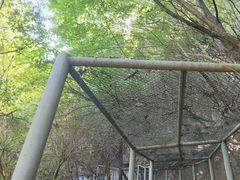 -辋川溶洞