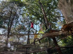 -芦仙山景区-飞越丛林探险乐园
