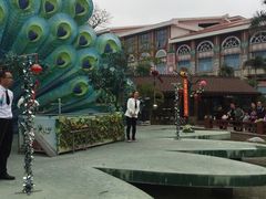 -灵玲国际马戏城