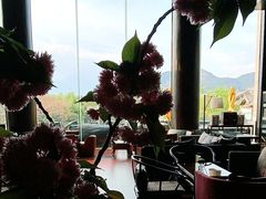 -时光吧·大堂吧·丽江和府洲际度假酒店