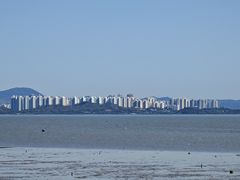 -深圳湾公园(南山区)