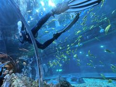 -华夏文旅西安度假区