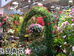 -双季花艺园艺市场(浦东店)