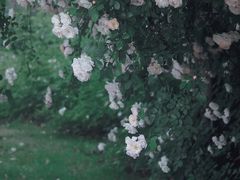-无锡金色摇篮幼儿园(宝龙城市广场店)