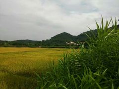 -红山村