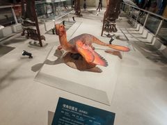 -国家自然博物馆