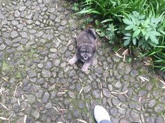 -九华山风景区月身宝殿