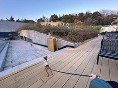 -UNIUNI(凯瑟琳广场店)