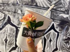 -大青树咖啡(大理古城店)