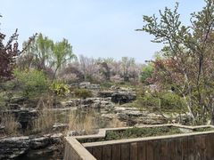 -石家庄市植物园