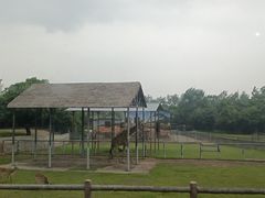 -西安秦岭野生动物园