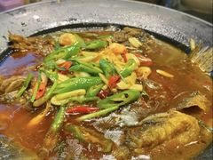 -呼吸森林·生态农庄农家乐私房菜