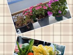 -野菌皇海景野生菌火锅(滨海大道店)
