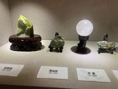 -陕西自然博物馆