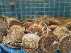 -正亮农家院·海鲜本地菜