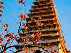 -北京石刻艺术博物馆(五塔寺)