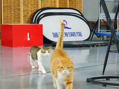 -蓝天射箭馆·专业射箭运动(诚丰广场店)