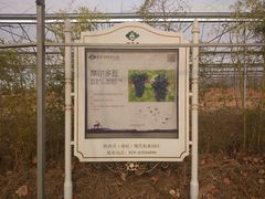 -白鹿原葡萄主题公园