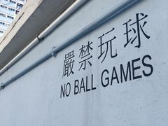 -彩虹村