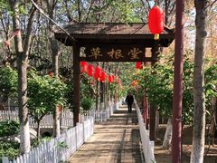 -草根堂农场