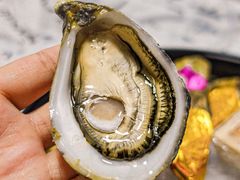 -斯普汇生蚝牛排馆(中骏世界城店)