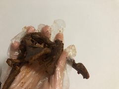 -绝味鸭脖(大学城店)