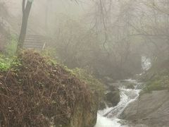 -西安祥峪森林公园
