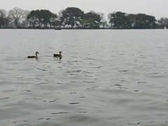 -西湖游船