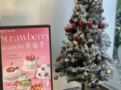-DEMO黛慕蛋糕(三街两巷店)