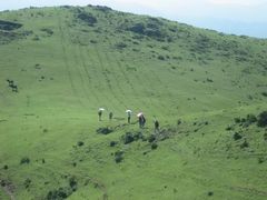-大姆山草场