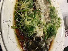 -糖朝(尖沙咀店)