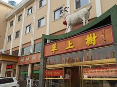 门面-羊上树(南门外店)