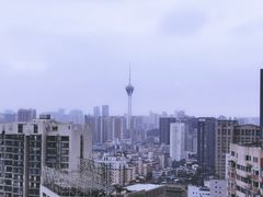 -富力丽思卡尔顿酒店·丽轩中餐厅