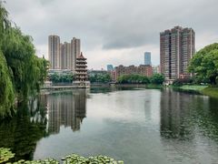 -宝岛公园