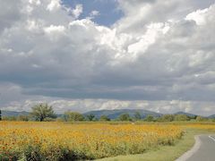 -良渚古城遗址公园