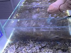 -聚盛源蒸汽海鲜火锅烤肉自助(巨川金海岸购物广场店)